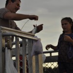North Stradbroke Island (49)